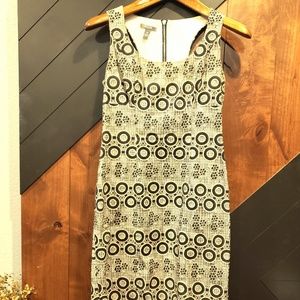 Cutest Cream & Black Muse Sundress